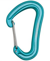 Nineteen G - Karabiner icemint
