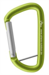 Accessory D Straight (12 kN) - Zubehörkarabiner grün | Schnappverschluss