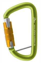 Accessory D Twistlock (12 kN) - Zubehörkarabiner grün | Twist-Lock