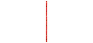 Parallel 10,5 mm - Statikseil 100 Meter | rot