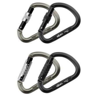 Largo (HMS-Form) - Alukarabiner 