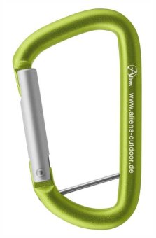 Accessory D Straight (12 kN) - Zubehörkarabiner grün | Schnappverschluss