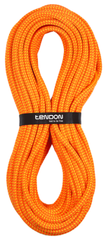 Timber Evo 11,5 mm - Statikseil für Arboristik / Baumpflege 