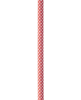 Dynamite 11,0 mm - Dynamikseil / Einfachseil 60 Meter | red | ohne Endvernähung