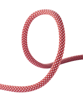 SALE - Dynamite 11,0 mm (80 Meter, red) - Dynamikseil / Einfachseil 