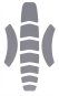 morepic-1