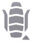 morepic-1