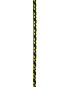 morepic-1