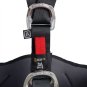 morepic-4