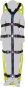 morepic-4