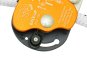 morepic-6